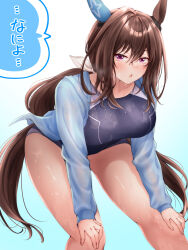 Rule 34 | 1girl, admire vega (umamusume), animal ears, bent over, breasts, brown hair, collarbone, commentary request, hair between eyes, hair ornament, highres, horse ears, horse girl, jacket, looking at viewer, medium breasts, open mouth, ponytail, purple eyes, red hayao, simple background, swimsuit, translation request, umamusume, wet