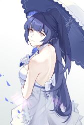 Rule 34 | 1girl, absurdres, back bow, bare back, bare shoulders, blue flower, blue hair, blunt bangs, bow, breasts, choker, closed mouth, commentary, dress, flower, gloves, grey eyes, hair focus, hair ornament, hands up, highres, holding, holding umbrella, honkai (series), honkai impact 3rd, lamser, large breasts, long hair, looking at viewer, looking back, pedal, ponytail, raiden mei, raiden mei (valkyrie bladestrike), simple background, smile, solo, standing, strapless, strapless dress, umbrella, upper body, white background, white bow, white choker, white dress, white gloves, white umbrella