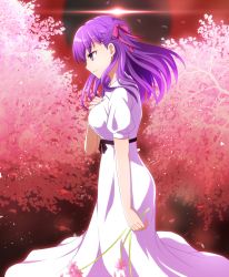 Rule 34 | 1girl, cimeri, dress, fate/stay night, fate (series), floating hair, flower, from side, hair between eyes, hair ribbon, holding, holding flower, long dress, long hair, matou sakura, official alternate costume, pink flower, purple eyes, purple hair, red ribbon, rei no himo, ribbon, short sleeves, solo, standing, white dress