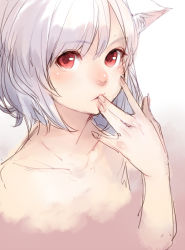 Rule 34 | 1girl, animal ears, blush, colorized, finger to mouth, inubashiri momiji, junwool, looking at viewer, nude, open mouth, parted lips, portrait, red eyes, short hair, simple background, sketch, solo, touhou, white hair, wolf ears