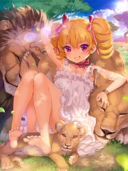 Rule 34 | 1girl, absurdres, apple watch, barefoot, blonde hair, blue sky, closed eyes, cloud, day, dress, drill hair, feet, furyou michi ~gang road~, grass, grin, highres, jairou, licking, lion, lion cub, looking at viewer, neck ribbon, outdoors, pink eyes, ribbon, sitting, sky, smartwatch, smile, soles, solo, toes, tongue, tree, twin drills, umbrella thorn, watch, white dress, wristwatch