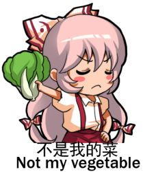 Rule 34 | 1girl, blush stickers, bok choy, chinese text, closed eyes, closed mouth, english text, engrish text, food, fujiwara no mokou, jokanhiyou, long hair, lowres, meme, multi-tied hair, ranguage, red eyes, simple background, solo, touhou, translation request, vegetable, white background, white hair