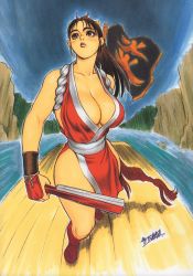 Rule 34 | breasts, brown eyes, brown hair, cleavage, hand fan, fatal fury, hair ornament, highres, long hair, looking up, raft, shiranui mai, snk, the king of fighters, tsukasa jun, water