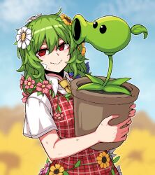 Rule 34 | 1girl, blurry, field, flower, flower field, flower pot, formicid, hair flower, hair ornament, holding, holding flower pot, kazami yuuka, looking at viewer, medium hair, multicolored flower, necktie, peashooter (plants vs zombies), plaid, plaid vest, plants vs zombies, red eyes, shirt, short sleeves, smile, solo, sunflower, touhou, vest, wavy hair, white shirt, yellow necktie