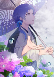 Rule 34 | 1623, 1boy, brown eyes, dankira!!!, facing to the side, flower, hydrangea, japanese clothes, long hair, looking up, male focus, minamoto mitsukuni, oil-paper umbrella, open mouth, pink flower, purple flower, purple hair, rain, side ponytail, solo, umbrella, water drop