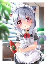 Rule 34 | 1girl, animal ears, apron, bell, black choker, black dress, window blinds, blurry, blurry foreground, blush, bottle, bow, cat ears, cat girl, chair, chestnut mouth, choker, collared dress, couch, depth of field, dress, frilled apron, frills, grey hair, hair between eyes, highres, holding, holding bottle, indoors, jingle bell, ketchup bottle, long hair, looking at viewer, maid, maid headdress, neck bell, original, parted lips, puffy short sleeves, puffy sleeves, red bow, red eyes, short sleeves, solo, sora (silent square), table, white apron