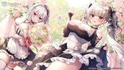 Rule 34 | 2girls, :d, apron, azur lane, bare shoulders, black dress, black ribbon, blurry, blush, bouquet, breasts, choker, cleavage, closed mouth, clothes lift, copyright name, cowboy shot, cross-laced clothes, day, depth of field, dress, dress lift, dutch angle, falling petals, floating hair, flower, formidable (azur lane), frilled apron, frilled choker, frilled dress, frills, gothic lolita, grey hair, hair ribbon, hairband, holding, holding bouquet, lace-trimmed hairband, lace trim, large breasts, lolita fashion, long hair, looking at viewer, maid, mitsuba choco, multiple girls, official art, open mouth, outdoors, parted lips, petals, pink flower, pink rose, puffy short sleeves, puffy sleeves, red eyes, red ribbon, ribbon, rose, short sleeves, sidelocks, sirius (azur lane), skirt hold, sleeves past wrists, smile, thighhighs, thighs, twintails, two-tone choker, two-tone dress, two-tone ribbon, waist apron, white apron, white choker, white flower, white hair, white thighhighs, zettai ryouiki