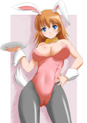 Rule 34 | 1girl, animal ears, bare shoulders, belly, blue eyes, bow, bowtie, breasts, charlotte e. yeager, cleavage, cuffs, detached collar, fake animal ears, ginjyasei, hand on own hip, large breasts, leotard, long hair, looking at viewer, navel, orange hair, pantyhose, plate, playboy bunny, rabbit ears, smile, strike witches, tail, world witches series