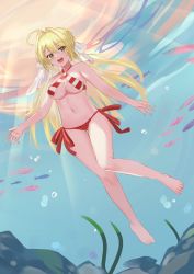 Rule 34 | 1girl, barefoot, blonde hair, breasts, derby (dabidabi), fate/grand order, fate (series), feet, fish, green eyes, highres, large breasts, nero claudius (fate), nero claudius (fate) (all), nero claudius (fate/extra), open mouth, outdoors, servant (fate), swimsuit, toes, underwater