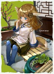 Rule 34 | 1girl, absurdres, akanbe, animal ears, black shorts, blue pantyhose, brown hair, child, china dress, chinese clothes, colored eyelashes, commission, dress, eyelid pull, female focus, fish, fox ears, fox tail, garden, grass, hair ornament, highres, original, pantyhose, plant, pot, potted plant, puffy shorts, sero3eta, shorts, sitting, solo, tail, tongue, tongue out, white dress