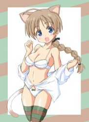 Rule 34 | :d, ahoge, animal ears, black ribbon, blue eyes, border, bow, bow panties, bra, braid, breasts, brown hair, brown thighhighs, cat ears, cat tail, cleavage, commentary, crotch seam, dress shirt, ehime (ehime mikan), green thighhighs, hair ribbon, hair tie, head tilt, long sleeves, lynette bishop, medium breasts, multicolored clothes, multicolored legwear, multicolored stripes, navel, no pants, off shoulder, open mouth, outside border, panties, ribbon, shirt, single braid, skindentation, smile, strike witches, striped, tail, thighhighs, thighs, underwear, white bra, white panties, white shirt, world witches series