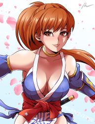 Rule 34 | 1girl, breasts, cleavage, dead or alive, eunnieverse, kasumi (doa), large breasts, long hair, pelvic curtain, petals, ponytail, sword, weapon