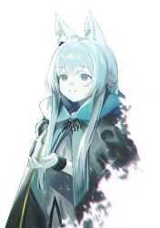 Rule 34 | 1girl, absurdres, animal ear fluff, animal ears, arknights, blanchat, cat ears, cat girl, cloak, closed mouth, commentary, earpiece, green eyes, grey hair, highres, hood, hood down, hooded cloak, infection monitor (arknights), long hair, rosmontis (arknights), simple background, smile, solo, white background