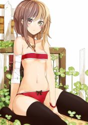Rule 34 | 1girl, bandages, bare shoulders, black thighhighs, blush, bow, bow panties, brown eyes, brown hair, clover, doko tetora, highres, looking at viewer, midriff, multicolored hair, navel, original, panties, red panties, sitting, solo, strapless, thighhighs, tube top, two-tone hair, underwear, wariza, wristband