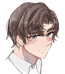 Rule 34 | + +, 1boy, artem wing (tears of themis), blue eyes, brown hair, closed mouth, collared shirt, commentary request, highres, looking at viewer, male focus, parted bangs, portrait, rain, remosea, shirt, simple background, smile, solo, tears of themis, thick eyebrows, white background, white shirt