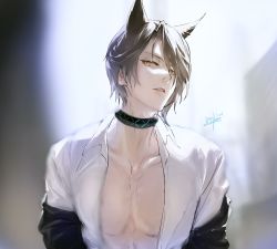 Rule 34 | 1boy, animal ears, arknights, black choker, cat ears, choker, grey hair, highres, infection monitor (arknights), looking at viewer, male focus, myluche, open clothes, open shirt, parted lips, phantom (arknights), shirt, short hair, upper body, white shirt, yellow eyes