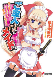 Rule 34 | crossed arms, maid, solo, souryuu (double dragon), sword, tagme, thighhighs, weapon, zettai ryouiki