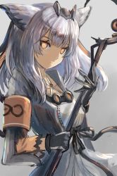 Rule 34 | 1girl, arknights, armband, black gloves, coat, commentary request, dress, gloves, goggles, goggles around neck, grey background, grey coat, grey hair, highres, holding, holding staff, long hair, looking at viewer, orange eyes, owl ears, ptilopsis (arknights), simple background, solo, staff, upper body, uutan (shibainu kakumei), white dress