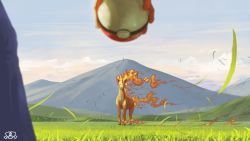 Rule 34 | commentary request, creatures (company), day, fiery tail, fire, game freak, gen 1 pokemon, grass, highres, holding, holding poke ball, nintendo, outdoors, poke ball, poke ball (basic), pokemon, pokemon (creature), rapidash, sky, spareribs, standing, tail, watermark