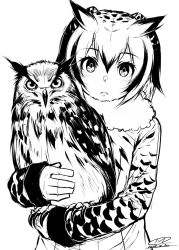 Rule 34 | 10s, 1girl, 2017, animal, bird, closed mouth, coat, eurasian eagle owl, eurasian eagle owl (kemono friends), frown, greyscale, happa (cloverppd), head tilt, head wings, holding, kemono friends, long sleeves, looking at viewer, monochrome, owl, signature, sketch, wings