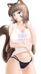 Rule 34 | 1girl, absurdres, animal ears, blue eyes, breasts, brown hair, cat ears, cat girl, cleavage, clothes lift, fluffy, highres, large breasts, large tail, long hair, looking at viewer, original, panties, shirt, shirt lift, stomach, t-shirt, tail, takie, takie arts, thick thighs, thighs, tongue, tongue out, underwear, white background, white shirt