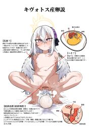 Rule 34 | 1girl, anatomy, anus, azusa (blue archive), barefoot, blue archive, breasts, cloaca, completely nude, egg, egg laying, feet, flower, gaping, guman project, hair between eyes, hair flower, hair ornament, halo, highres, long hair, low wings, navel, nipples, nude, parted lips, pink eyes, small breasts, solo, squatting, sweat, translation request, white background, white hair, white wings, wings