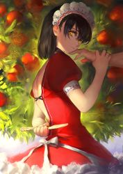 Rule 34 | 1boy, 1girl, apple, arm behind back, backless dress, backless outfit, bare back, black hair, black neckwear, choker, closed mouth, disembodied limb, dress, expressionless, food, fruit, hair between eyes, highres, hojiro (piko519), holding, holding another&#039;s wrist, holding knife, knife, knife behind back, looking at viewer, looking to the side, maid headdress, nose, puffy short sleeves, puffy sleeves, red dress, short hair, short sleeves, signature, tree, tsurime, upper body, yellow eyes