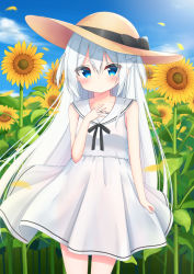 Rule 34 | 1girl, black bow, blue eyes, blue sky, bow, brown hat, closed mouth, cloud, dress, feet out of frame, field, flower, flower field, hat, hat bow, highres, isoroku (isrk), long hair, looking at viewer, original, outdoors, sailor dress, sky, sleeveless, solo, standing, sunflower, sunflower field, white dress, white hair