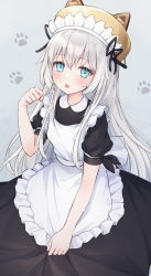 Rule 34 | absurdres, animal ears, animal hat, apron, aqua eyes, beret, black dress, cat ears, cat hat, commission, dress, frilled apron, frills, hat, highres, long dress, long hair, maid, maid apron, maid headdress, original, paw pose, paw print, paw print background, puffy short sleeves, puffy sleeves, shano hiyori, short sleeves, silver hair, skeb commission, solo, white apron