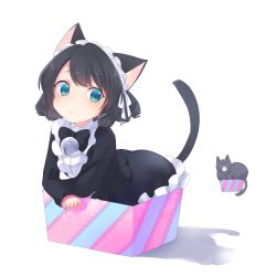 Rule 34 | 1girl, :&lt;, animal ears, bell, black hair, blue eyes, blush, bow, box, cat ears, cat tail, curly hair, cyan (show by rock!!), dress, full body, gothic lolita, highres, in box, in container, kyuuri (miyako), lolita fashion, maid headdress, show by rock!!, simple background, solo, tail, white background
