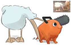 Rule 34 | 2others, bird, biting, buttericecreamm, capybara, chainsaw, chainsaw man, handle, looking at another, looking to the side, multiple others, pelican, photo-referenced, photo inset, pochita (chainsaw man), reference inset, reference photo, simple background, white background