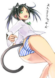 Rule 34 | 1girl, animal ears, ass, bare legs, black hair, blush, cat ears, cat tail, choker, francesca lucchini, green eyes, hair ribbon, looking back, military, military uniform, panties, ribbon, simple background, smile, solo, strike witches, striped clothes, striped panties, tail, tea (nakenashi), twintails, underwear, uniform, white background, world witches series