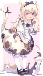 Rule 34 | 1girl, :3, :d, absurdres, animal ear fluff, animal ears, apron, bent over, cat, cat ears, cat girl, cat tail, cat teaser, commentary request, fang, full body, hair between eyes, hair ribbon, highres, holding, leaning forward, long hair, looking at viewer, maid, maid apron, maid headdress, mary janes, open mouth, original, pantyhose, paw pose, paw print, purple eyes, ribbon, senifu, shoes, sidelocks, silver hair, simple background, smile, standing, tail, tail ornament, tail raised, tail ribbon, two-tone background, white pantyhose