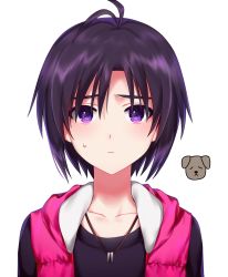 Rule 34 | 1girl, antenna hair, bad id, bad pixiv id, black shirt, cardigan, closed mouth, collarbone, frown, hachiware, hair between eyes, highres, idolmaster, idolmaster (classic), jewelry, kikuchi makoto, looking at viewer, necklace, open cardigan, open clothes, portrait, purple eyes, purple hair, shirt, short hair, simple background, solo, sweatdrop, white background