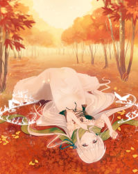 Rule 34 | 1girl, autumn, autumn leaves, bad id, bad pixiv id, blue ribbon, blush, braid, brown eyes, chihuri, closed mouth, day, detached sleeves, dress, fingernails, green scarf, hair between eyes, hair ribbon, hands up, highres, long hair, lying, on back, on ground, original, outdoors, puffy short sleeves, puffy sleeves, ribbon, ribbon-trimmed dress, ribbon trim, scarf, short sleeves, side braid, silver hair, single braid, sleeveless, sleeveless dress, smile, solo, tree, very long hair, white dress