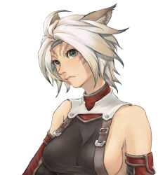Rule 34 | 1girl, absurdres, animal ear fluff, animal ears, adventurer (ff11), bare shoulders, blue eyes, blue headband, breasts, cactus41747280, cat ears, cat girl, closed mouth, eyelashes, facial mark, final fantasy, final fantasy xi, frown, hair intakes, headband, highres, medium breasts, mithra (ff11), no bra, no eyebrows, pink pupils, scorpion harness, sideboob, simple background, solo, upper body, whisker markings, white background, white hair