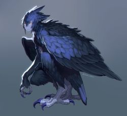 Rule 34 | 1boy, blue feathers, claws, feather hair, feathered wings, feathers, gradient background, grey background, hair between eyes, harpy boy, head wings, male focus, monster boy, original, solo, squatting, twitter username, wings, yellow eyes, yuzu shio