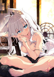 Rule 34 | 1girl, absurdres, ahoge, animal ear fluff, animal ears, barefoot, black nails, black shorts, blue eyes, blurry, blurry background, bra strap, braid, breasts, chabudai (table), closed mouth, collarbone, commentary, day, electric fan, feet, fingernails, fox ears, fox girl, fox tail, furrowed brow, glint, hair between eyes, head rest, highres, hololive, hot, indian style, indoors, interlocked fingers, jewelry, large breasts, lens flare, long fingernails, long hair, looking at viewer, nail polish, own hands together, picture frame, ring, shirakami fubuki, shirt, shorts, side braid, single braid, sitting, solo, strap slip, sunlight, sweatdrop, table, tail, toenail polish, toenails, toes, virtual youtuber, wavy mouth, white hair, white shirt, zelitto