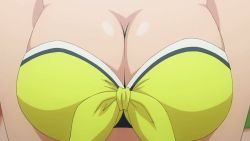 Rule 34 | animated, animated gif, bikini, bouncing breasts, breasts, cleavage, large breasts, screencap, siesta (zero no tsukaima), swimsuit, zero no tsukaima