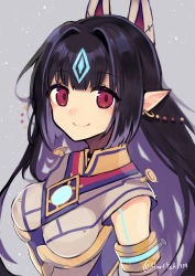 Rule 34 | 1girl, absurdres, black hair, breasts, chest jewel, gem, haruto yuki, highres, kasandra (xenoblade), long hair, medium breasts, pointy ears, red eyes, signature, simple background, smile, solo, very long hair, xenoblade chronicles (series), xenoblade chronicles 2