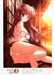 Rule 34 | 1girl, :o, absurdres, ass, bare legs, barefoot, blush, breasts, brown hair, cameltoe, cleft of venus, evening, feet, from behind, handkerchief, highres, japanese clothes, large breasts, legs, long hair, looking at viewer, looking back, mikeou, miko, nipples, no bra, non-web source, off shoulder, outdoors, panties, pantyshot, purple eyes, sitting, soles, solo, sunlight, sunset, thighs, toes, underwear, undressing
