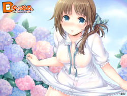 Rule 34 | 1girl, asymmetrical hair, blue eyes, blush, breasts, brown hair, cleavage, clothes lift, courreges ace, dmm, downblouse, dress, flower, highres, hydrangea, leaning forward, looking at viewer, medium breasts, open clothes, open dress, original, panties, pantylines, rainbow, see-through, short sleeves, side ponytail, skirt, skirt hold, skirt lift, solo, sparkle, underwear, untied, wallpaper, wet, wet clothes, white dress, white panties