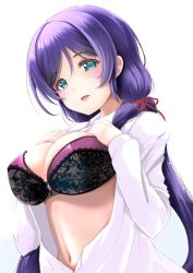 Rule 34 | 1girl, :d, blush, bra, breasts, cleavage, dress shirt, frapowa, green eyes, hair tie, hand on own chest, lace, lace bra, large breasts, long hair, long sleeves, looking at viewer, love live!, love live! school idol project, navel, open clothes, open mouth, open shirt, purple hair, shirt, sidelocks, simple background, smile, solo, tojo nozomi, twintails, two-tone bra, unbuttoned, unbuttoned shirt, underwear, upper body, white background, white shirt, | |