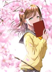 Rule 34 | 10s, 1girl, book, book on head, bow, bowtie, branch, brown hair, cherry blossoms, gorilla-shi, highres, holding, holding book, kunikida hanamaru, long hair, looking at viewer, looking to the side, love live!, love live! sunshine!!, object on head, own hands together, pleated skirt, sailor collar, school uniform, skirt, solo, standing, sweater, uranohoshi school uniform, yellow bow, yellow bowtie, yellow eyes, yellow sweater