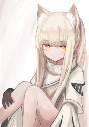 Rule 34 | 1girl, absurdres, animal ear fluff, animal ears, arknights, black gloves, closed mouth, feet out of frame, gloves, highres, jacket, knees together feet apart, knees up, light brown hair, long hair, long sleeves, looking at viewer, piennamekuzi, platinum (arknights), simple background, smile, solo, white background, white jacket, yellow eyes