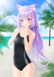 Rule 34 | 1girl, ahoge, animal ear fluff, animal ears, beach, black one-piece swimsuit, blue sky, cat ears, cat tail, cloud, commentary request, commission, competition school swimsuit, day, heart, heart tail, heterochromia, highres, horizon, indie virtual youtuber, long hair, mikeneko (vtuber), mikeneko (vtuber) (2nd costume), ocean, one-piece swimsuit, outdoors, palm tree, pixiv commission, purple eyes, purple hair, red eyes, school swimsuit, sky, solo, surgate matias, swimsuit, tail, tree, utaite, virtual youtuber