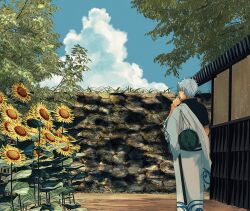 Rule 34 | 1boy, absurdres, architecture, belt, cloud, commentary, day, east asian architecture, flower, food, fruit, gintama, hadanugi dousa, highres, japanese clothes, kimono, male focus, nature, open kimono, outdoors, sakata gintoki, shooogun, short hair, sky, stone wall, sunflower, sword, symbol-only commentary, tree, wall, watermelon, weapon, white hair, wooden sword