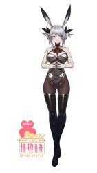 Rule 34 | 1girl, animal ears, arknights, bare shoulders, black pantyhose, boots, breasts, cleavage, closed mouth, double bun, fake animal ears, full body, gluteal fold, grey eyes, hair bun, high heels, highleg, highleg leotard, large breasts, leotard, looking to the side, own hands together, pantyhose, playboy bunny, savage (arknights), shiny clothes, silver hair, silver leotard, smile, solo, standing, strapless, strapless leotard, thigh boots, thighhighs, thighs, yan wan