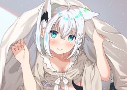 Rule 34 | 1girl, ahoge, animal ear fluff, animal ears, blush, braid, breasts, cleavage, collarbone, commentary request, extra ears, fox ears, fox girl, fox tail, green eyes, hair between eyes, highres, hololive, indoors, looking at viewer, luvniji, shirakami fubuki, shirakami fubuki (street), shirt, sidelocks, single braid, small breasts, smile, solo, tail, under covers, virtual youtuber, white hair, white shirt