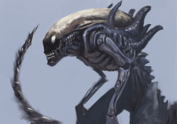 Rule 34 | alien, alien (1979), artist request, grey background, no humans, simple background, solo, tagme, tail, upper body, xenomorph